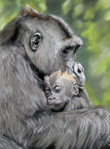Soft pastel drawing of a gorilla holding a sleeping baby gorilla, with soft green foliage in the background.
