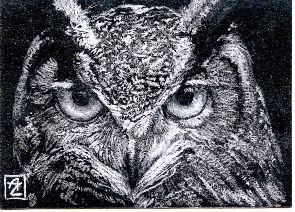 Small graphite and colored pencil artist trading card showing a close-up owl face on a dark background.