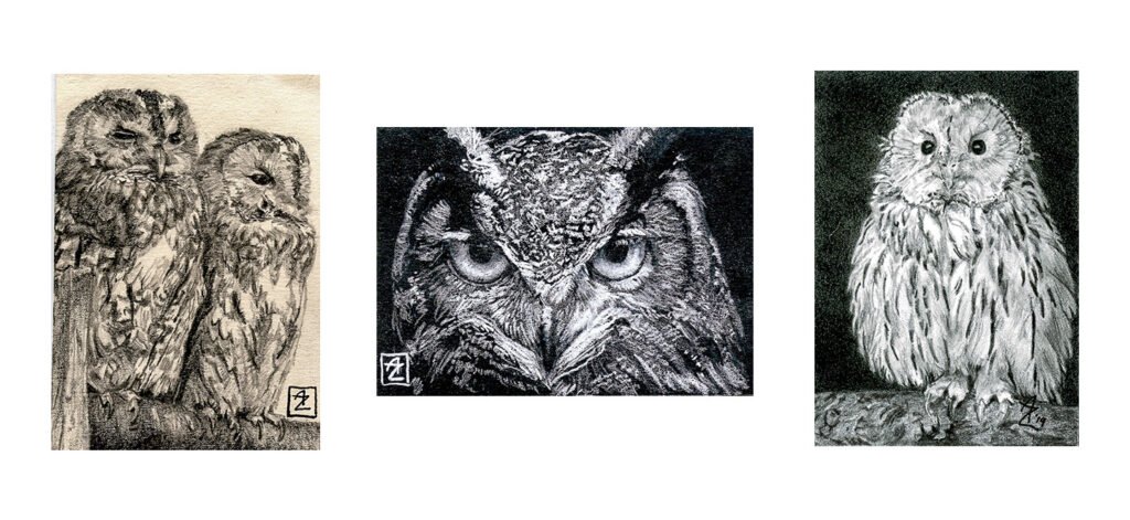 Collage of three graphite and charcoal owl artist trading card studies.