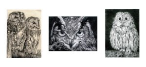 Collage of three graphite and charcoal owl artist trading card studies.