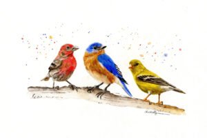 Watercolor painting of three birds on a branch, one red, one blue, and one yellow, arranged as a primary color composition.