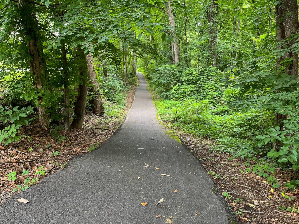 A paved trail curves through dense green summer trees.