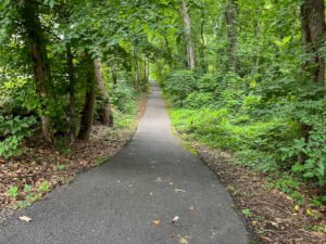 A paved trail curves through dense green summer trees.