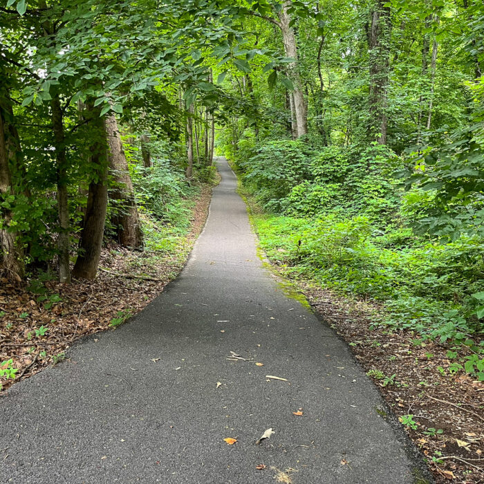 A paved trail curves through dense green summer trees.