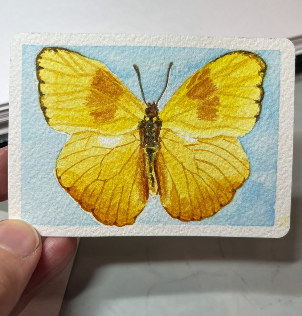 A small watercolor painting of a yellow butterfly on a blue background.