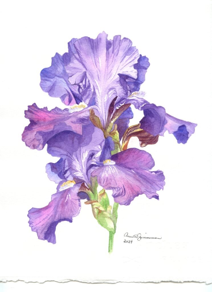 Watercolor painting of purple irises with layered violet petals, green stems, and yellow details on white paper.