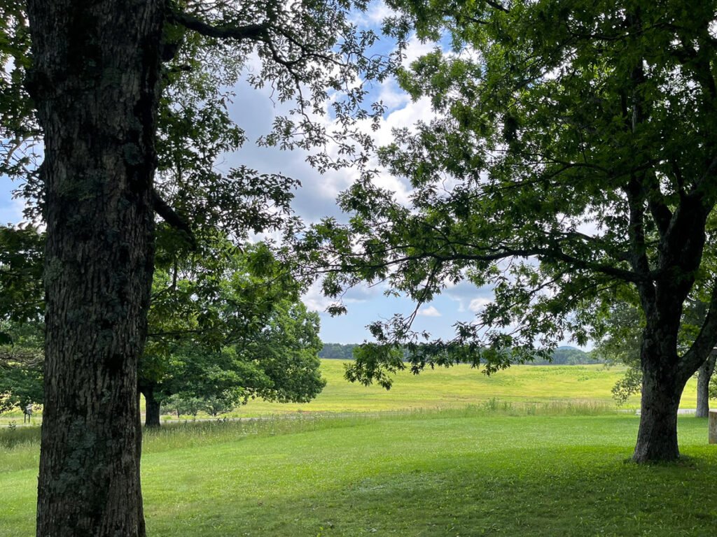 Green meadow framed by large shade trees beneath a partly cloudy summer sky at Shenandoah National Park.