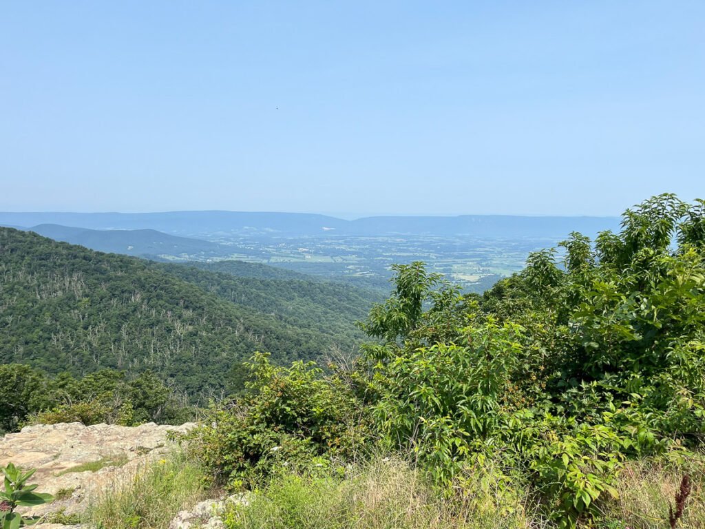 Wide view from Skyline Drive across forested mountain slopes to a distant valley and long blue ridgeline.