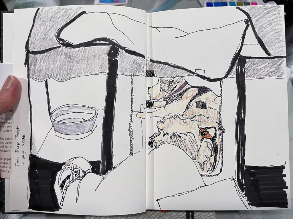 Sketchbook spread showing two curly-haired dogs sleeping together inside a portable mesh pen beneath its fabric canopy.