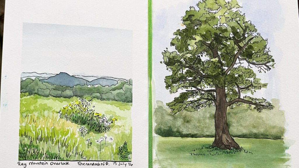 Watercolor sketchbook spread showing a wildflower meadow and layered mountains at Rag Mountain Overlook beside a large green tree at Shenandoah National Park.