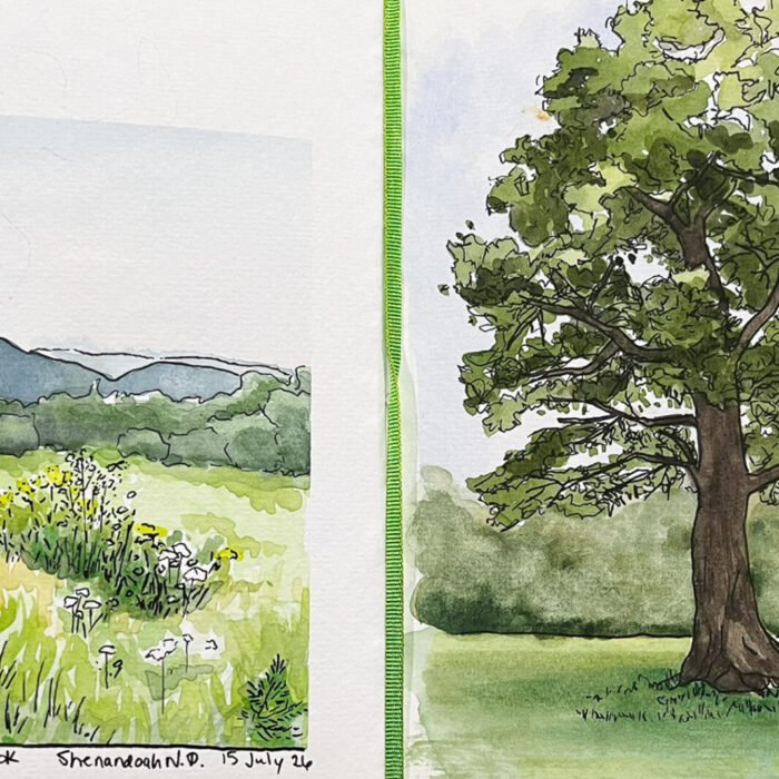 Watercolor sketchbook spread showing a wildflower meadow and layered mountains at Rag Mountain Overlook beside a large green tree at Shenandoah National Park.