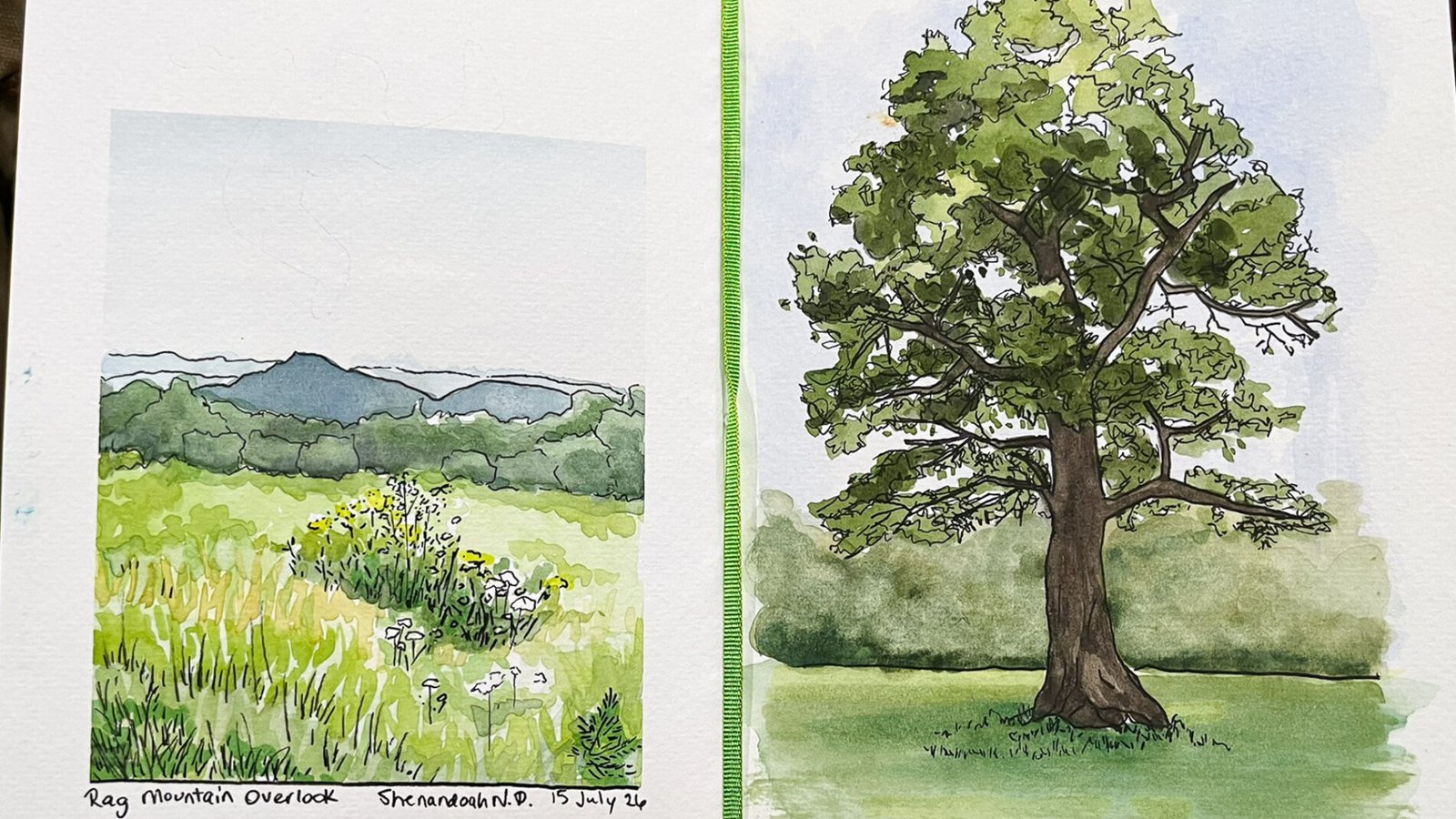 Watercolor sketchbook spread showing a wildflower meadow and layered mountains at Rag Mountain Overlook beside a large green tree at Shenandoah National Park.
